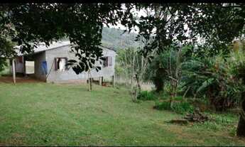 Imagem 3: Bela chacrinha 1.5ha, toda cercada, casa de alvenaria, fundos no Rio dos Sinos