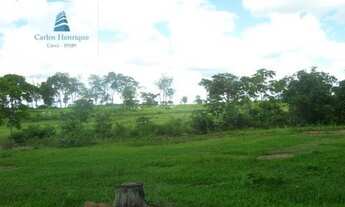 Imagem 4: Fazenda para Venda em Interior Poconé-MT