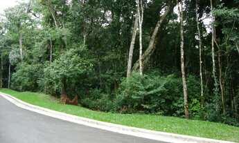 Imagem 2: Gramado - Loteamento/Condomínio - Vila Nova De Gaia