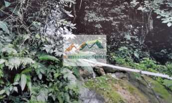 Imagem 4: Silva Jardim - Sítio - Centro