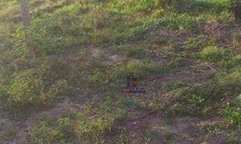 Imagem 7: Sítio com 2 dormitórios à venda, 338800 m² por R$ 570.000,00 - Área Rural de Porto Velho