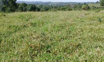 Imagem 7: Oportunidade! Vende-se um espetáculo de fazenda de 199 Alqueires