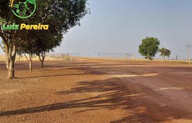 Imagem 12: FAZENDA À VENDA EM SANTA MARIA - TO - 3.789,72 HECTARES (DUPLA APTIDÃO