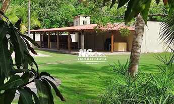 Imagem 7: Casa na Zona Sul