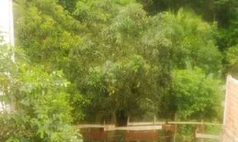 Imagem 2: Casa para Venda em RA XXXI Fercal, Fercal Bela Vista, 2 dormitórios, 1 banheiro