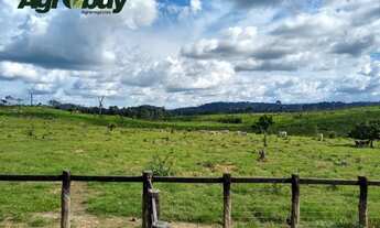 Imagem 6: Fazenda Com 405 Alqueires Localizada em Marabá-Pá