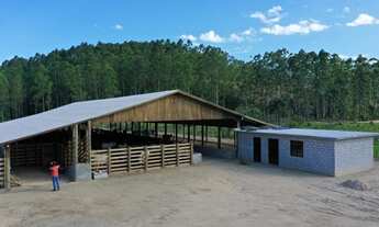 Imagem 3: Sítio para Venda, Imaruí / SC