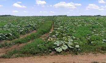 Imagem 5: Fazenda Núcleo Rural Itapeti 211 Hectares Escriturada e Registrada !!! 18.000.000 !!