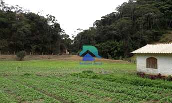 Imagem: Excelente Fazenda com pasto alto - Vale