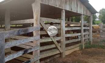 Imagem 6: Machadinho D'Oeste - Sítio - 15 Alqueires