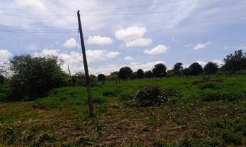 Imagem: Fazenda com 530 hectares em Campo Maior