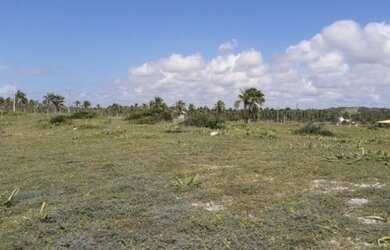 Imagem 5: Lote em Sítio do Conde, 1.755 m²