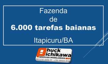 Imagem: FAZENDA DE 6000 T ITAPICURU