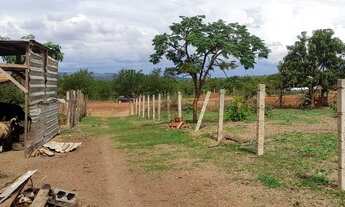 Imagem 4: Lote na fazenda velha