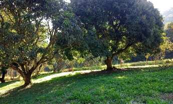 Imagem 5: Terreno 3 alqueires com nascente dentro