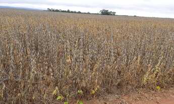 Imagem 6: Fazenda em Santa Rosa com 1895 hectares