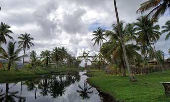Imagem 2: Terreno na Praia