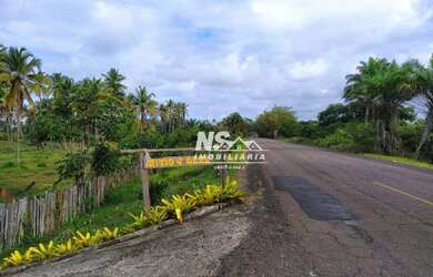 Imagem 4: Terreno na Praia