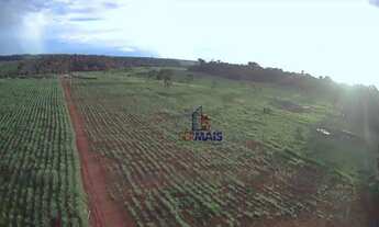 Imagem 10: Sítio à venda, 271040 m² por R$ 800.000,00 - Zona Rural - Machadinho D'Oeste/RO