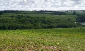 Imagem 4: Fazenda/Sítio Fazenda / sítio com venda por R$300.000