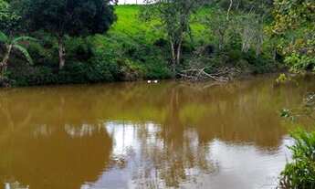 Imagem 6: Vendo excelente fazenda agricultura em Valença