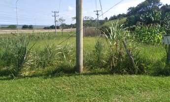 Imagem 3: Vendo direto , área as margens br 101