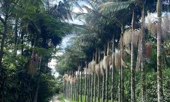 Imagem 7: Terrenos com facilidade no pagamento