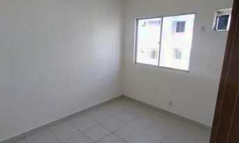 Imagem 3: Alugo apartamento no condomínio ideal torquato