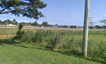 Imagem 2: Vendo direto , área as margens br 101