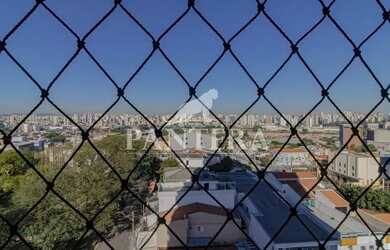 Imagem 6: Apartamento à venda na Vila Curuça - Santo André - SP