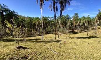 Imagem: Vende-se Fazenda de 16.72 alqueires em Trindade-GO