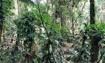 Imagem 6: Casa para venda tem 103 metros quadrados com 2 quartos em Balneário Gaivota - Itanhaém - S