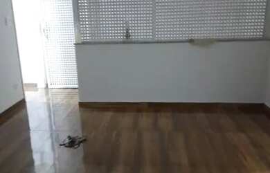 Imagem 3: CASA SOBREPOSTA - VILA FRANCA - SP