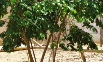 Imagem 5: Rancho Chacara Lagoa Preta