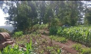 Imagem 2: Área de terras em Bom Principio