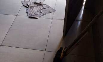 Imagem 6: Vendo lote em esmeraldas