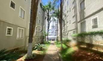 Imagem 2: Venda Apartamento com 2 dormitórios