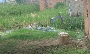 Imagem 2: Vendo casa e dois terrenos