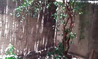 Imagem 3: Casa dos fundos Casa com 1 dormitório