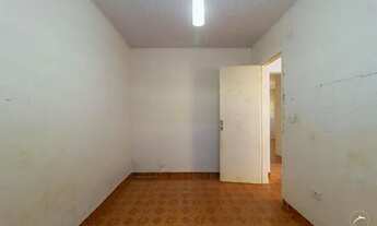 Imagem 7: Samambaia (Norte