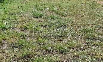 Imagem 6: Terreno - João Aranha - Paulínia
