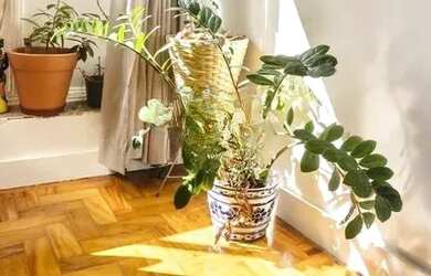 Imagem 4: Apartamento para venda com 50 metros quadrados com 1 quarto em Flamengo - Rio de Janeiro