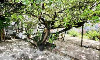 Imagem 6: Recife - Casa Padrão - Boa Vista