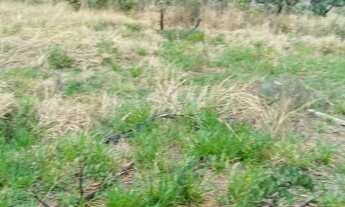 Imagem 3: Fazenda/Sítio/Chácara para venda possui 5000 metros quadrados em Ceilândia Norte - Brasíli