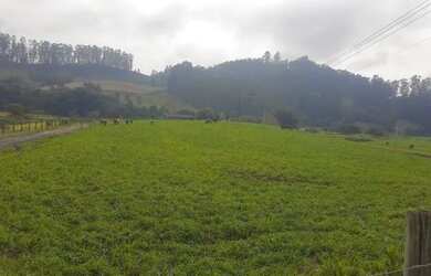 Imagem 2: SITIO 45 HECTARES PARA CRIAÇÃO GADO CORTE E LEITE - ITUPORANGA - SC
