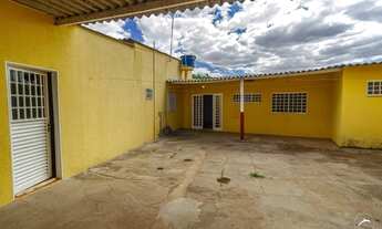 Imagem: Samambaia (Norte