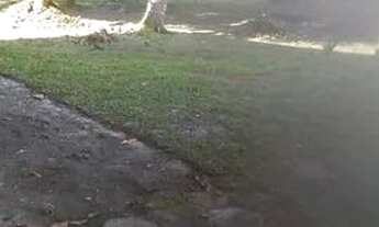 Imagem 4: Casa para venda possui 200 metros quadrados com 3 quartos em São Francisco (Mosqueiro) - B