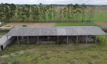 Imagem 3: Área as margens da BR 101, Linhares - ES