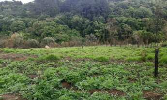 Imagem 3: Chácara em Brigadeiro Tobias com escritura - Sorocaba/SP