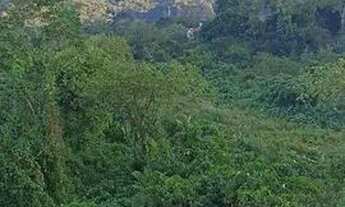 Imagem 3: Vende-se casa Casa em condomínio com 4 dormitórios